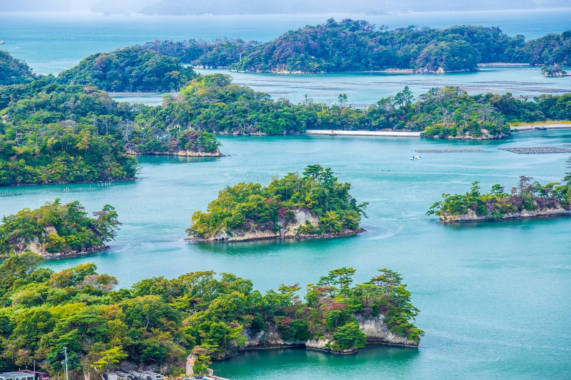 shutterstock_2393631077__1_-1747232750