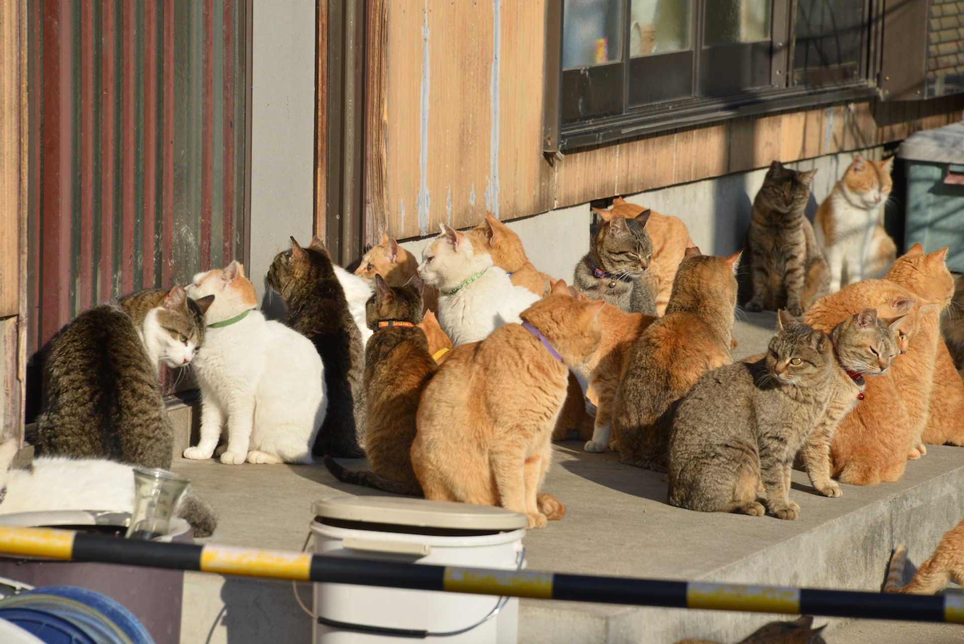 sido_kagawa._-1647354263