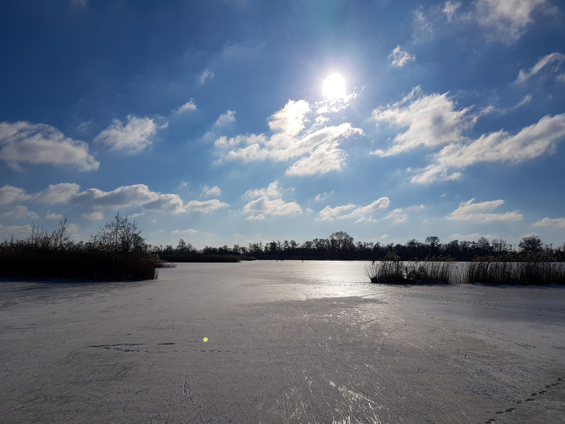 Ankeveense_Plassen_5-1613403421