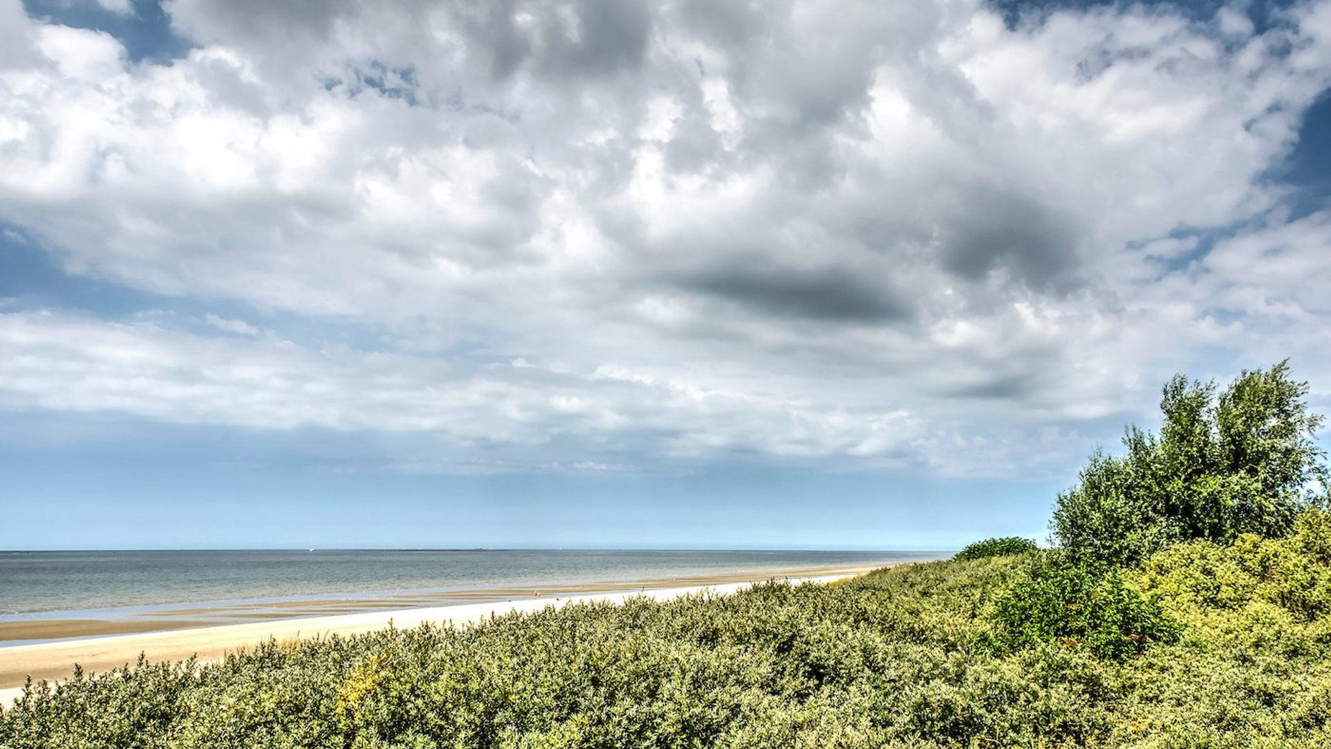 5cf9003d-9b92-4422-a6ad-07e69f755023-1605001347