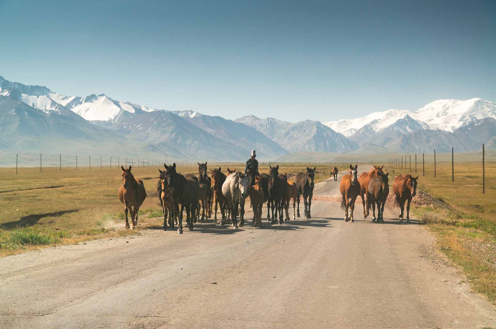 shutterstock_1553959601-1643627479