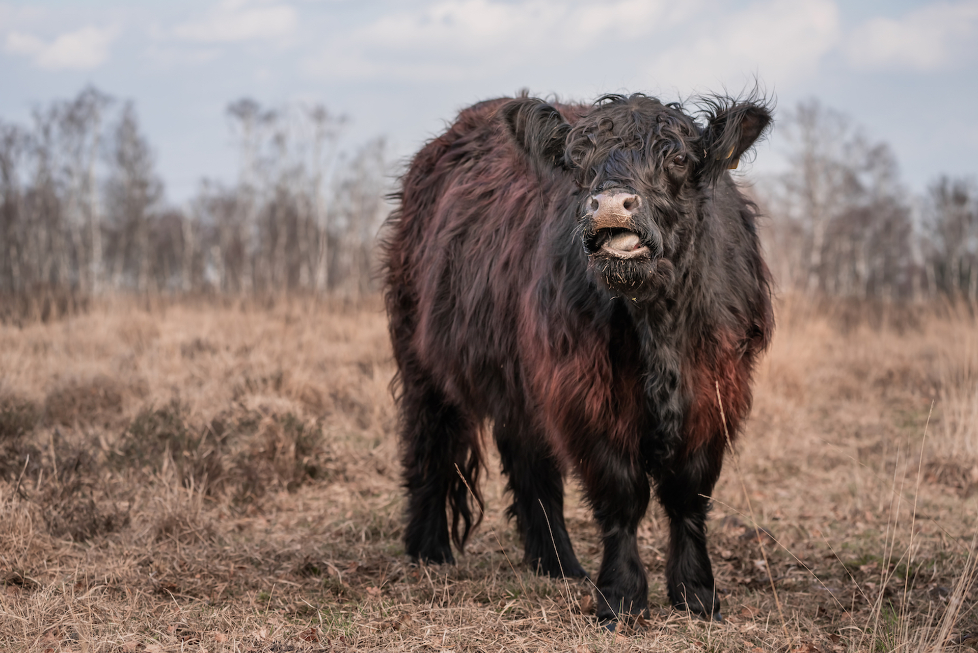 shutterstock_1667632333-1620114915