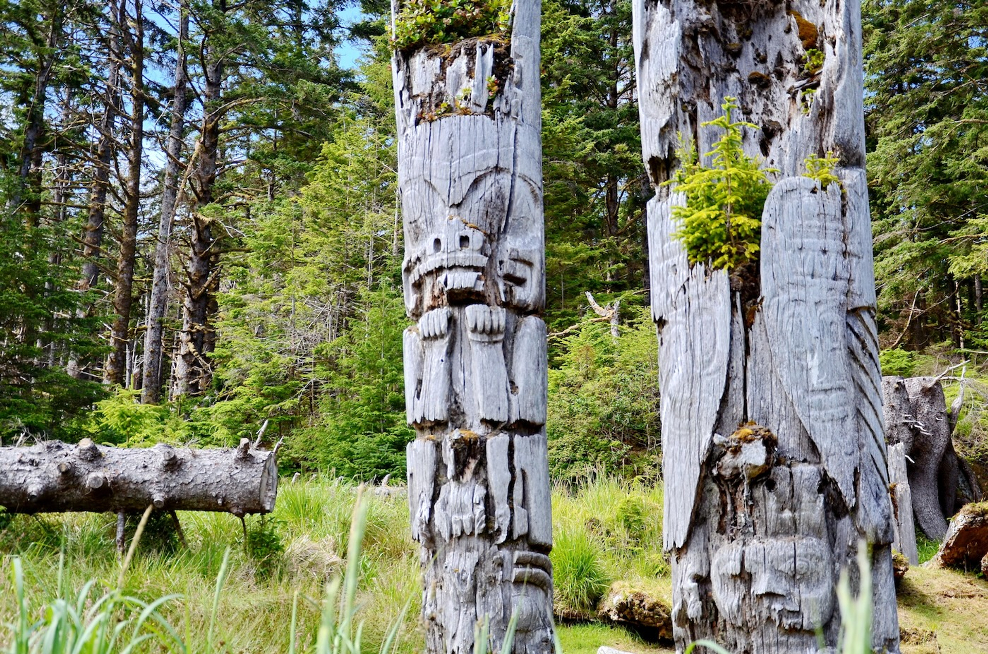 Bob_Hilscher-1741870354