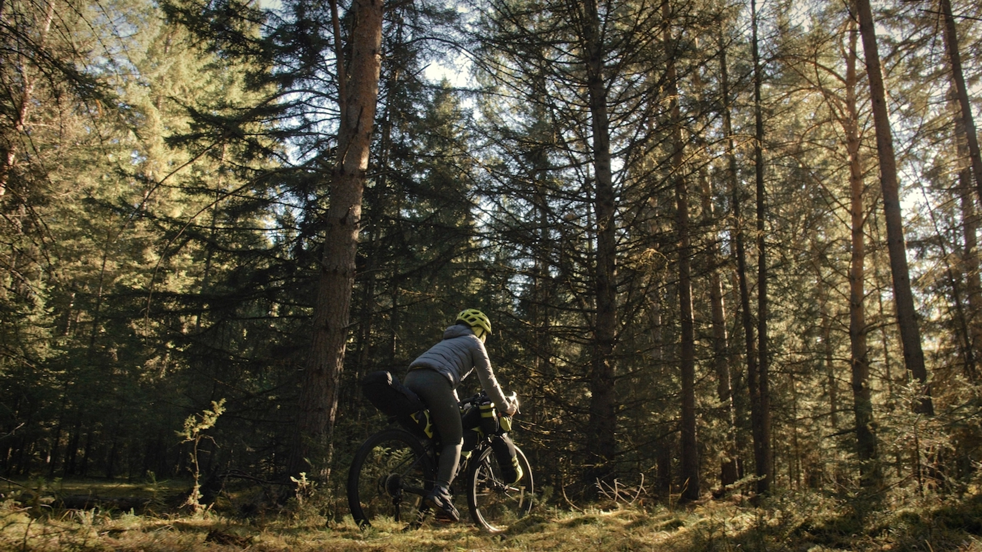 shutterstock_2132483491-1650625205