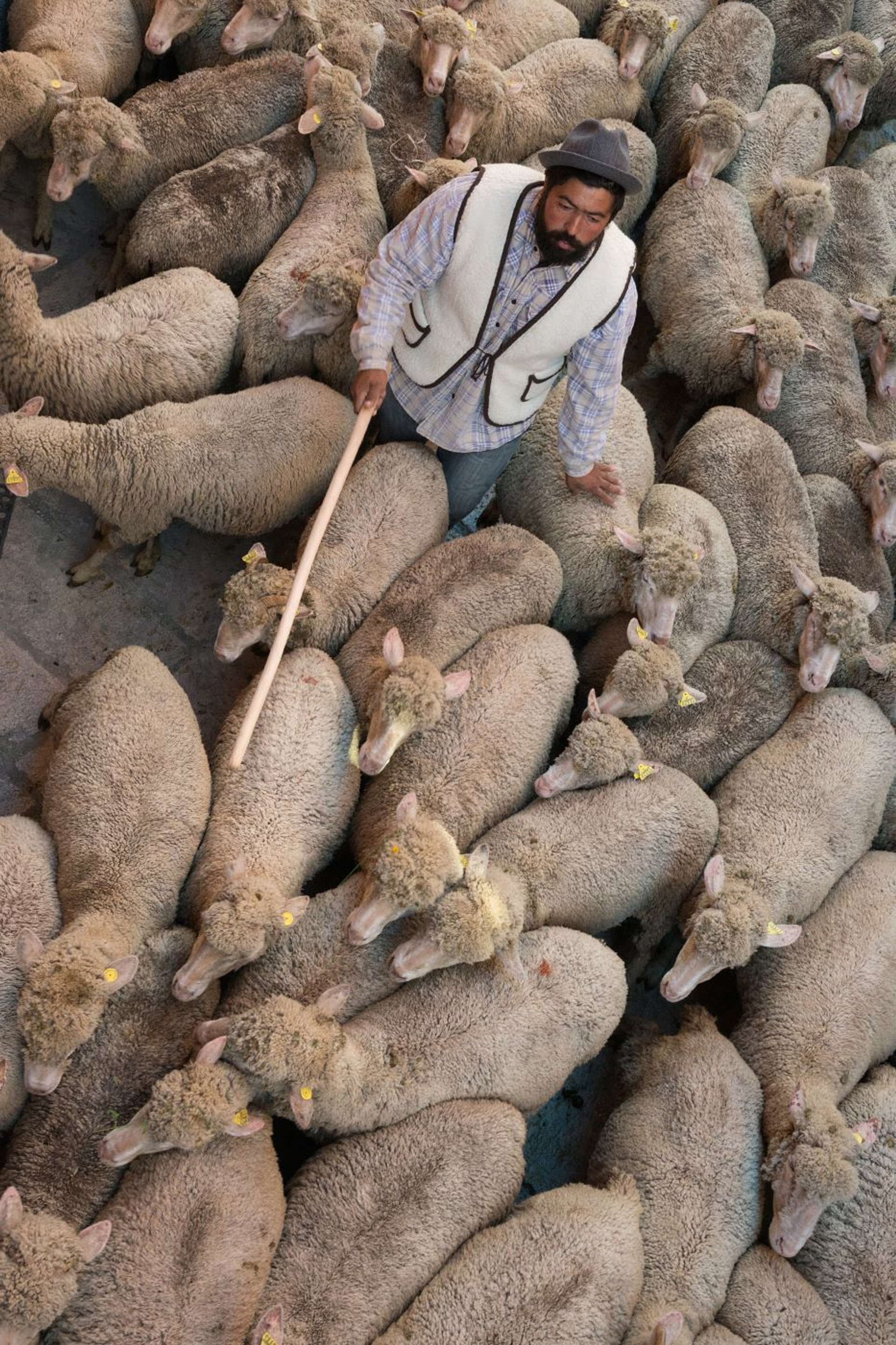 Antonio_Priston-1698852738