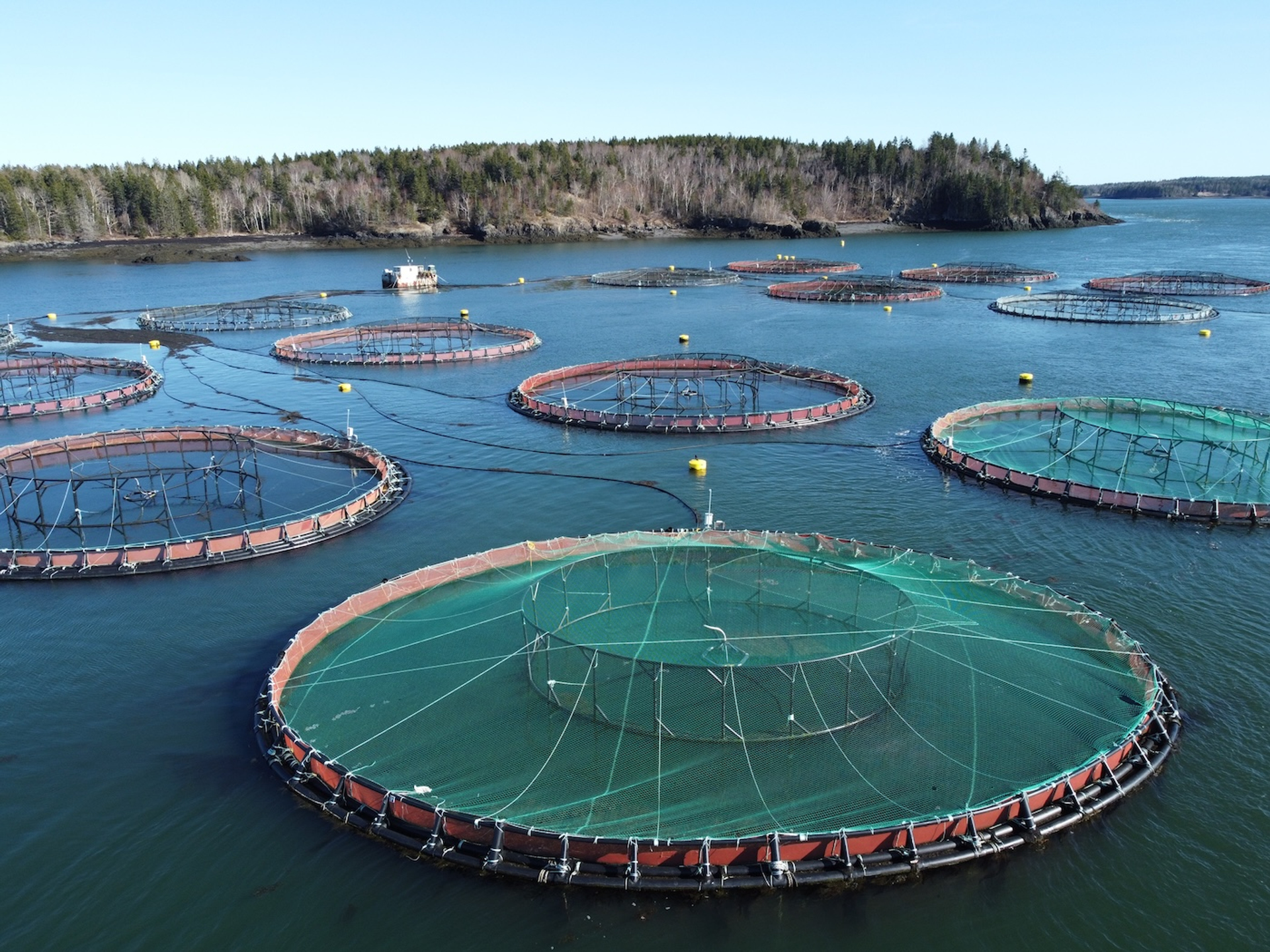 leo_w_kowal-1755000518