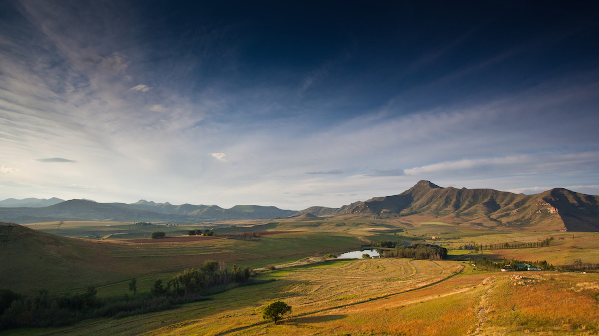 0d374f40-54a0-4917-b9ff-0fd0d5fa8252-1605105493