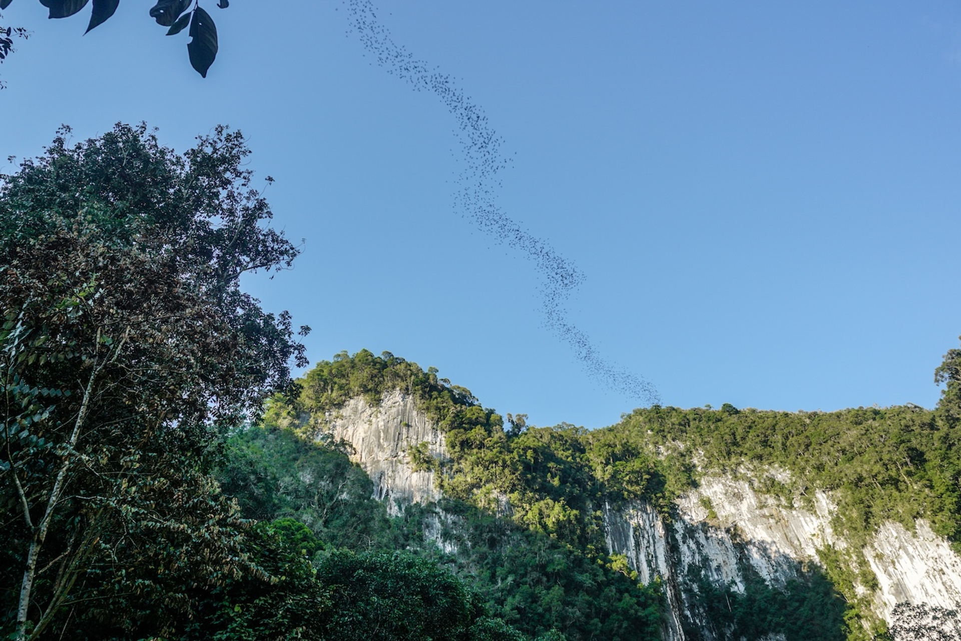 shutterstock_479457880-1751956835