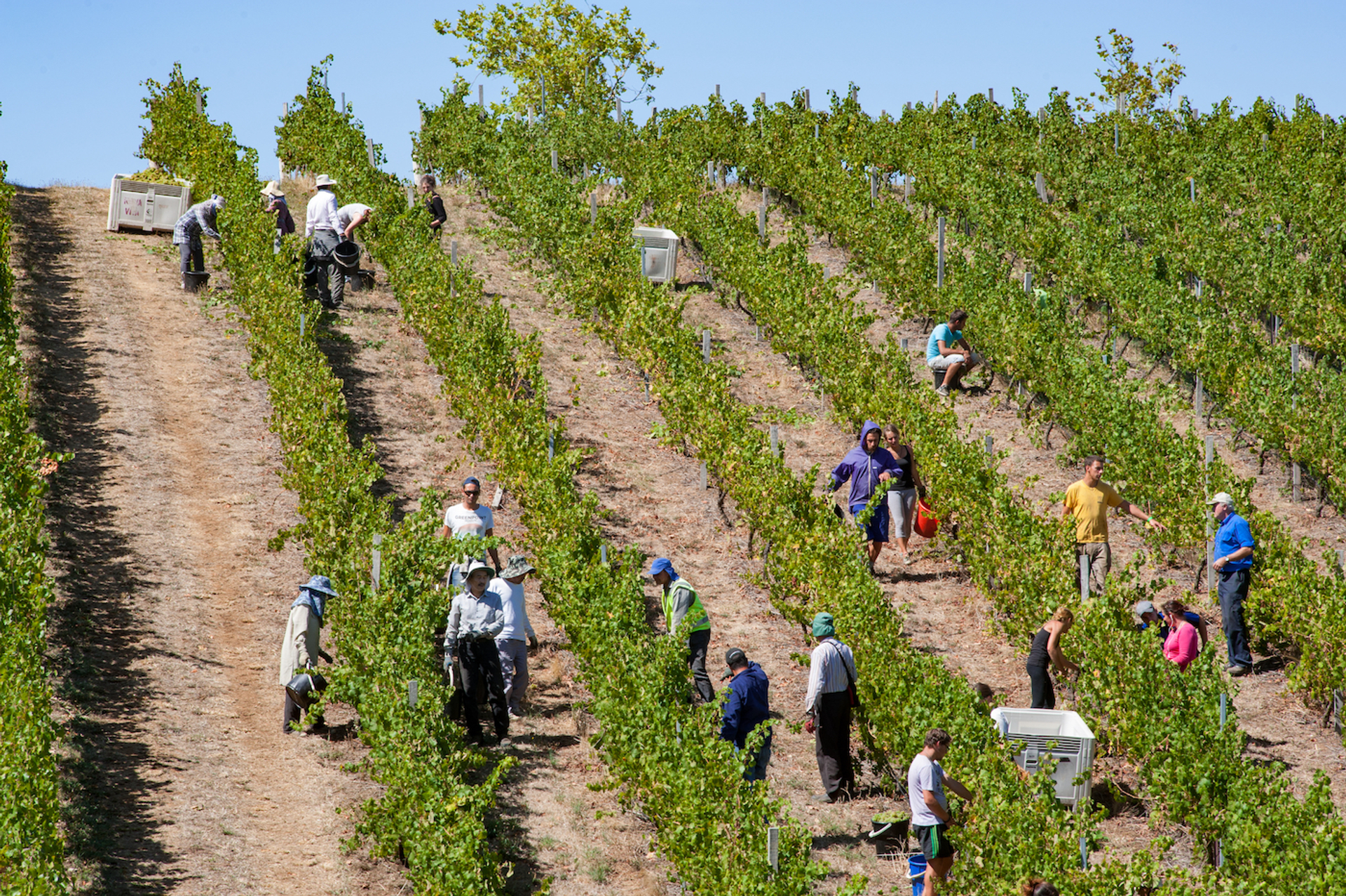 shutterstock_1830621212-1696490527