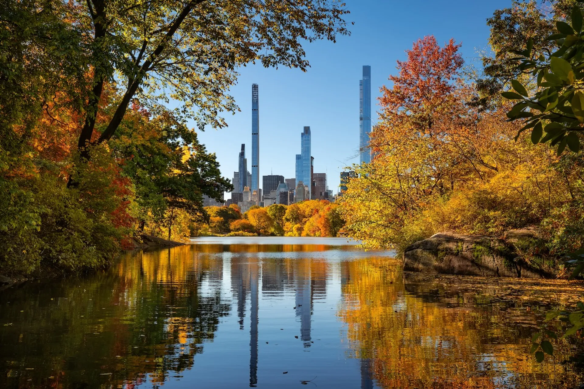 Francois_Roux-1710414276