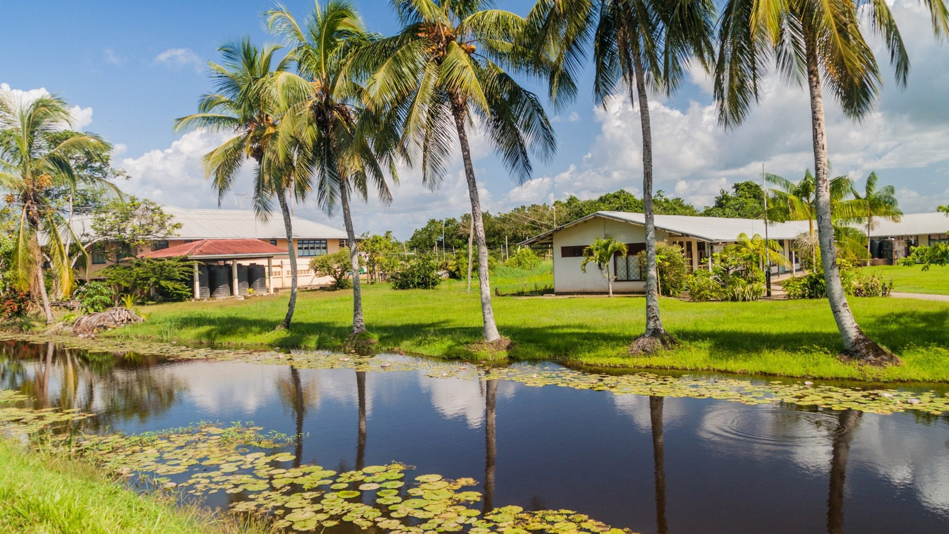 dfbd4246-6305-4599-a0e1-6939ab649927-1605101882