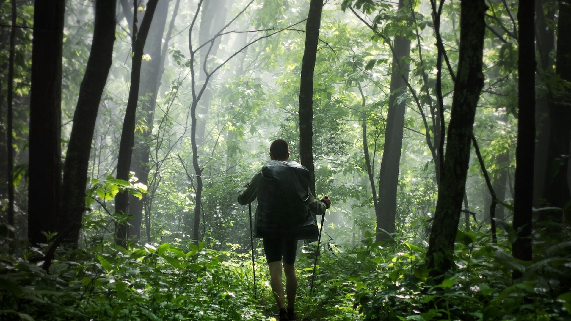 Nico_Schueler-1732813532