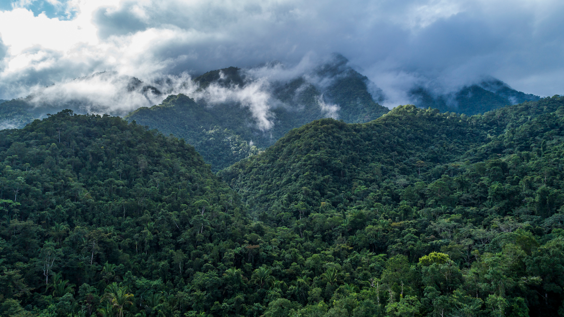 Jamen_Percy-1686849176