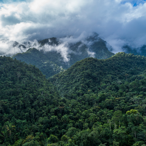 De mythe die geen mythe bleek: het verhaal van de verdwenen Hondurese junglesteden