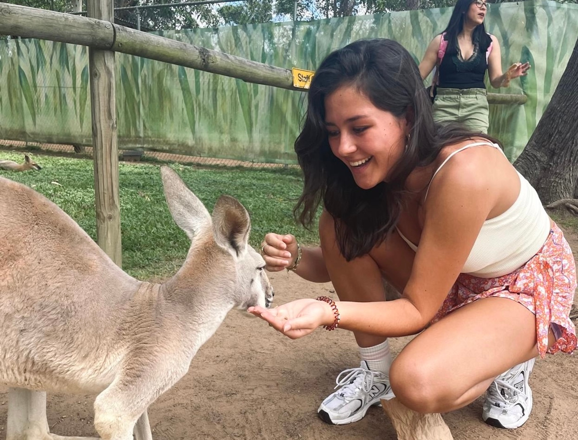 PHOTO-2025-05-22-10-19-27-1747902185