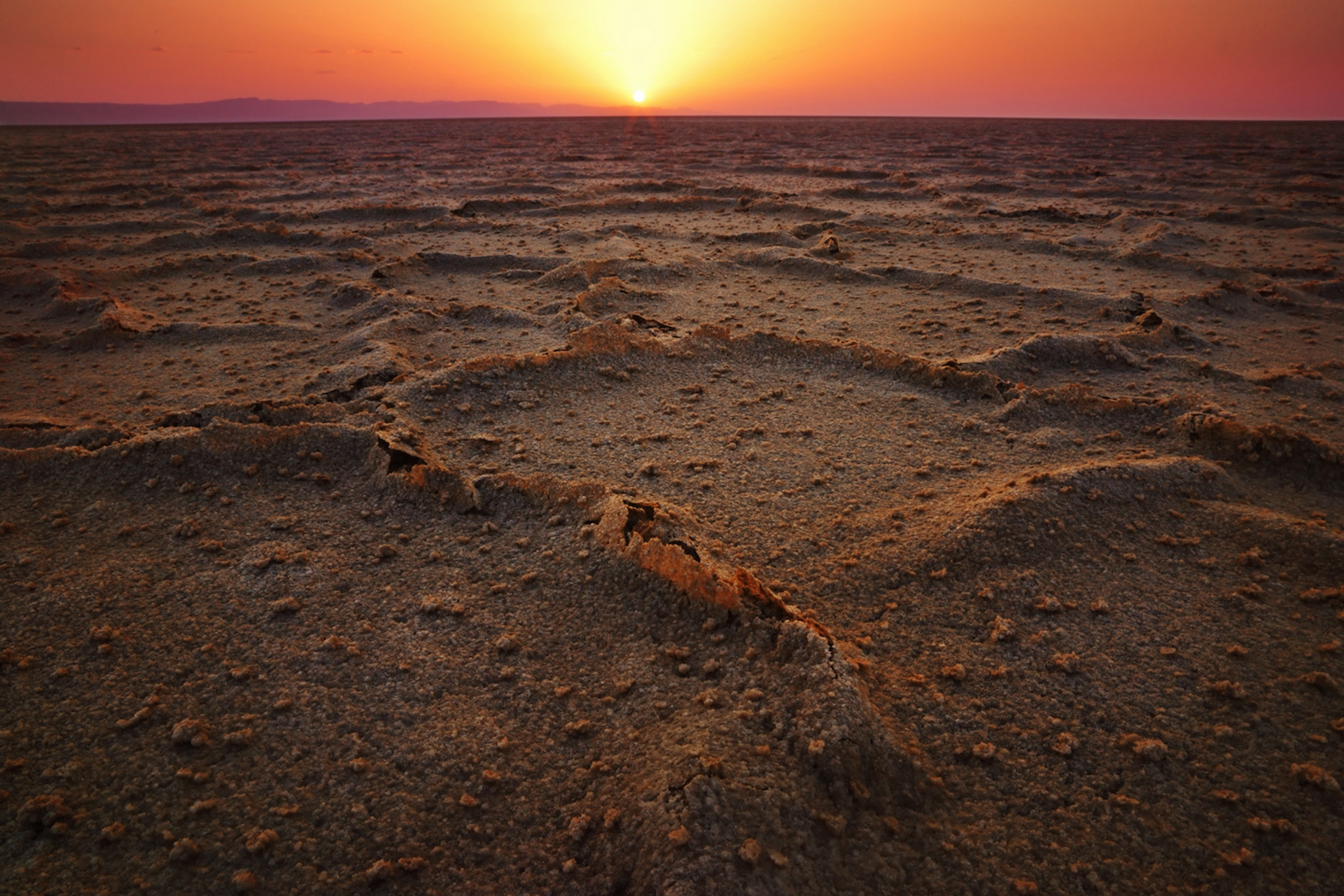 shutterstock_97330559-1652433391