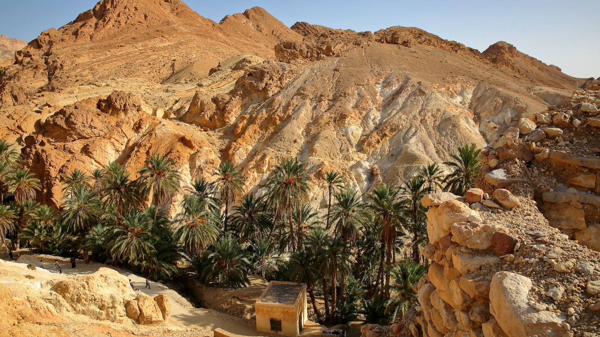 Christophe_Cappelli-1715181488