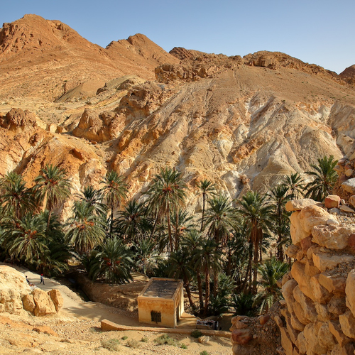 Tunesië: van buitenaardse woestijnsferen tot prachtige medina’s