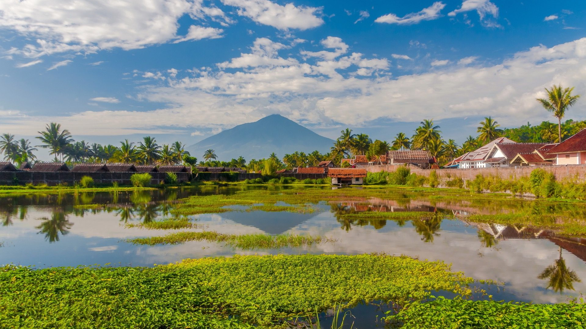 515ee86e-7c11-4afc-8309-d90511cb71ed-1605101743