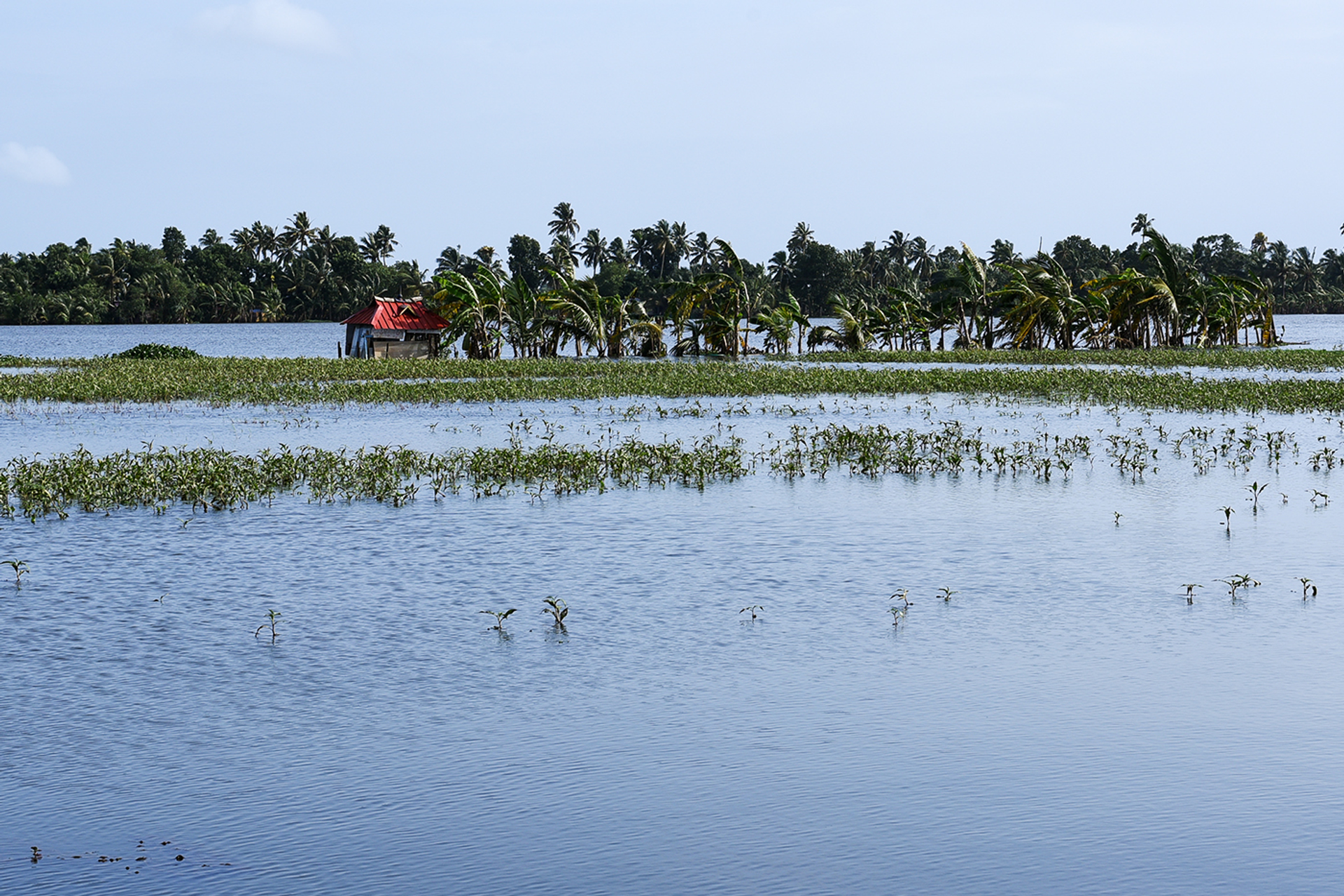 3OR_Moesson_Kerala_India-1661438930