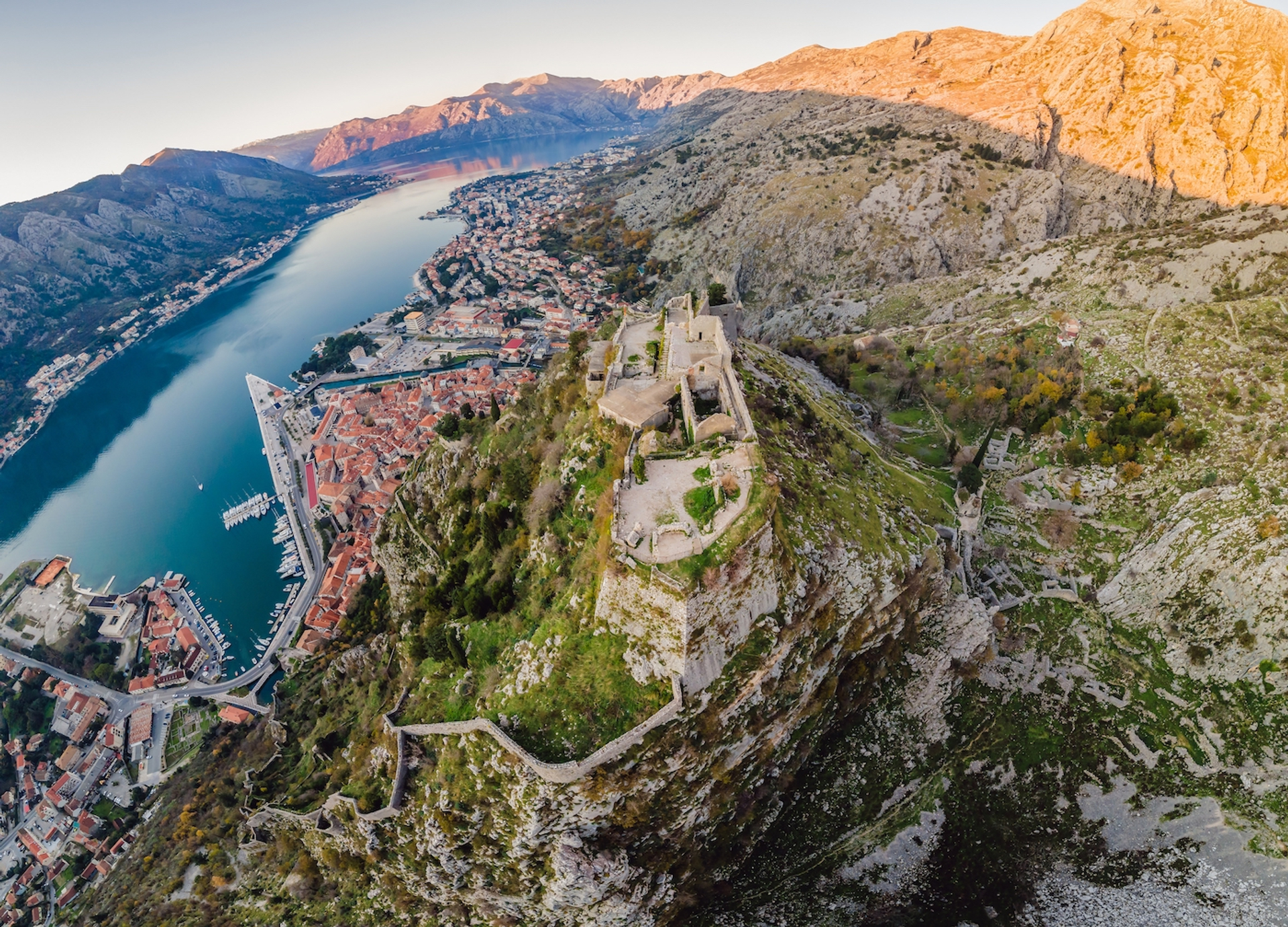 shutterstock_2125016990-1705568777