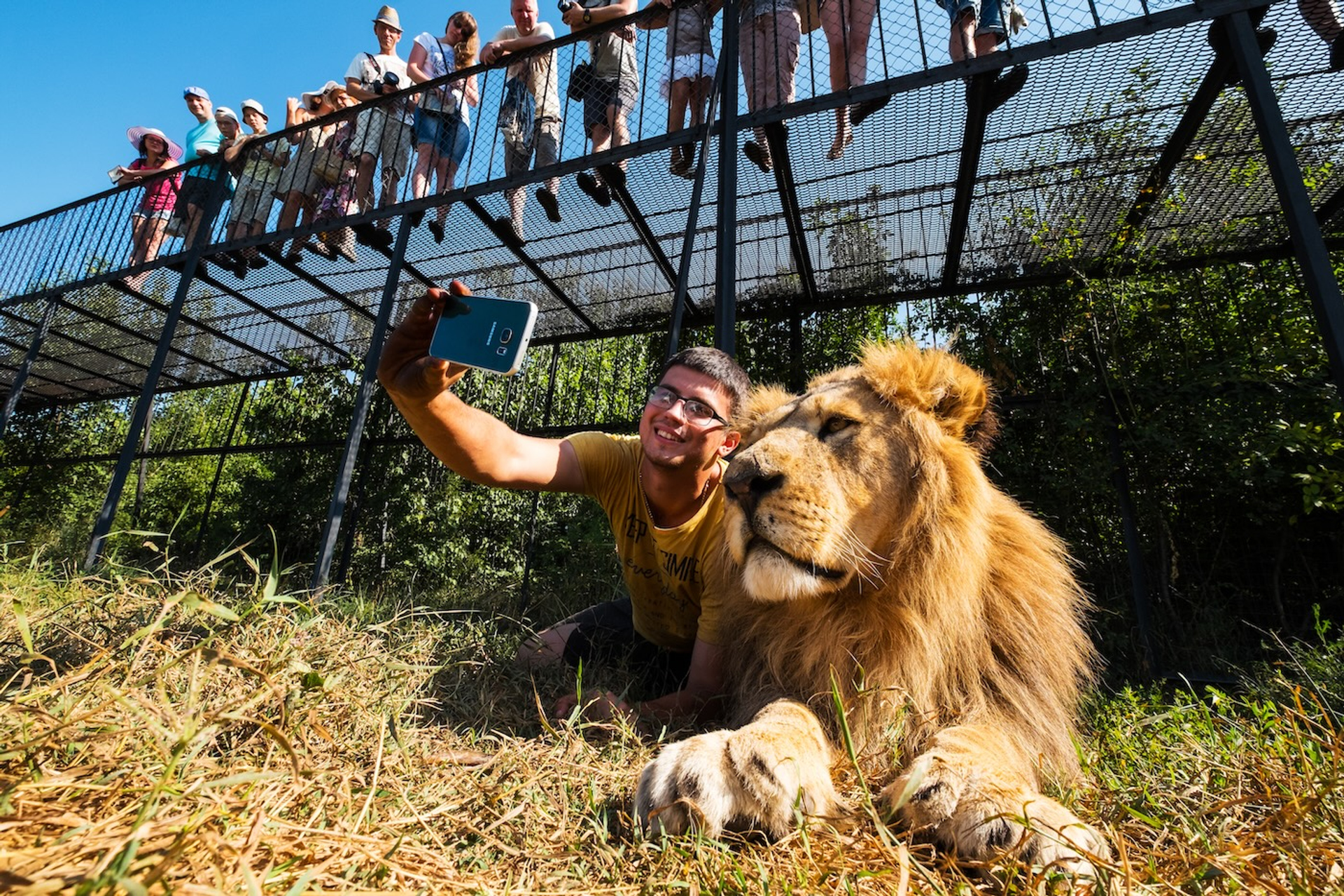 shutterstock_475029778-1744896031