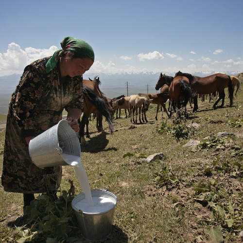 Volle buffettafels en een fooi voor benzine: de do’s en don'ts tijdens je reis in Kirgistan
