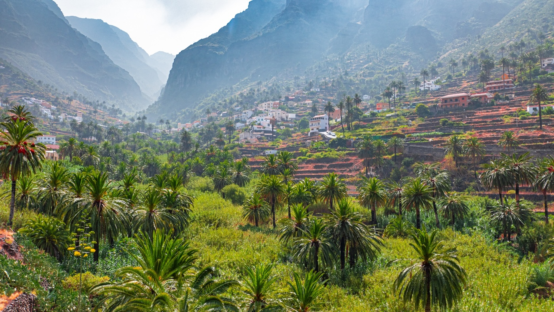 My_aquarium_blog-1726585804