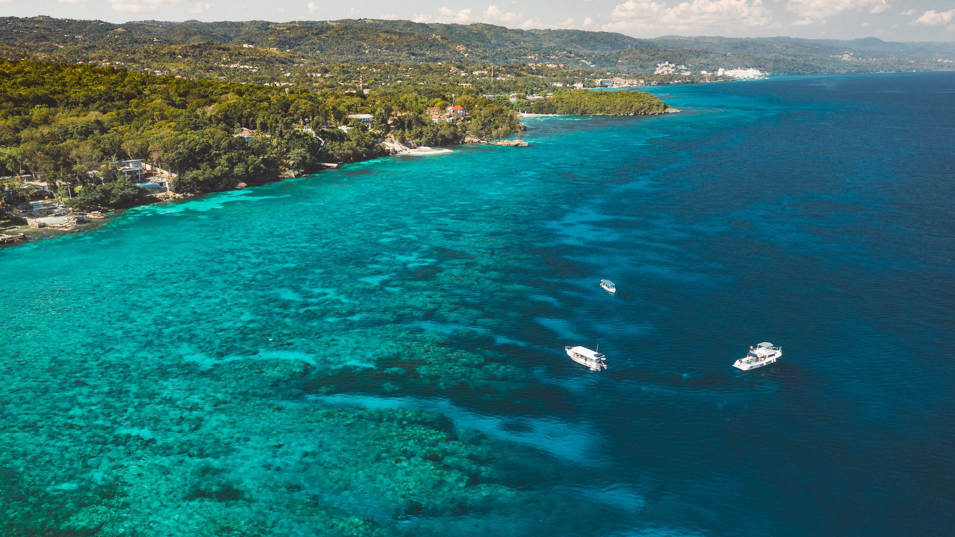 392f1fe7-ef36-4397-9213-8af855d1b6b3-1605103537