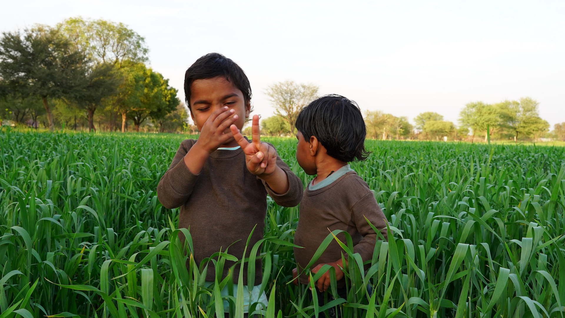 shutterstock_1916030635-1683214117