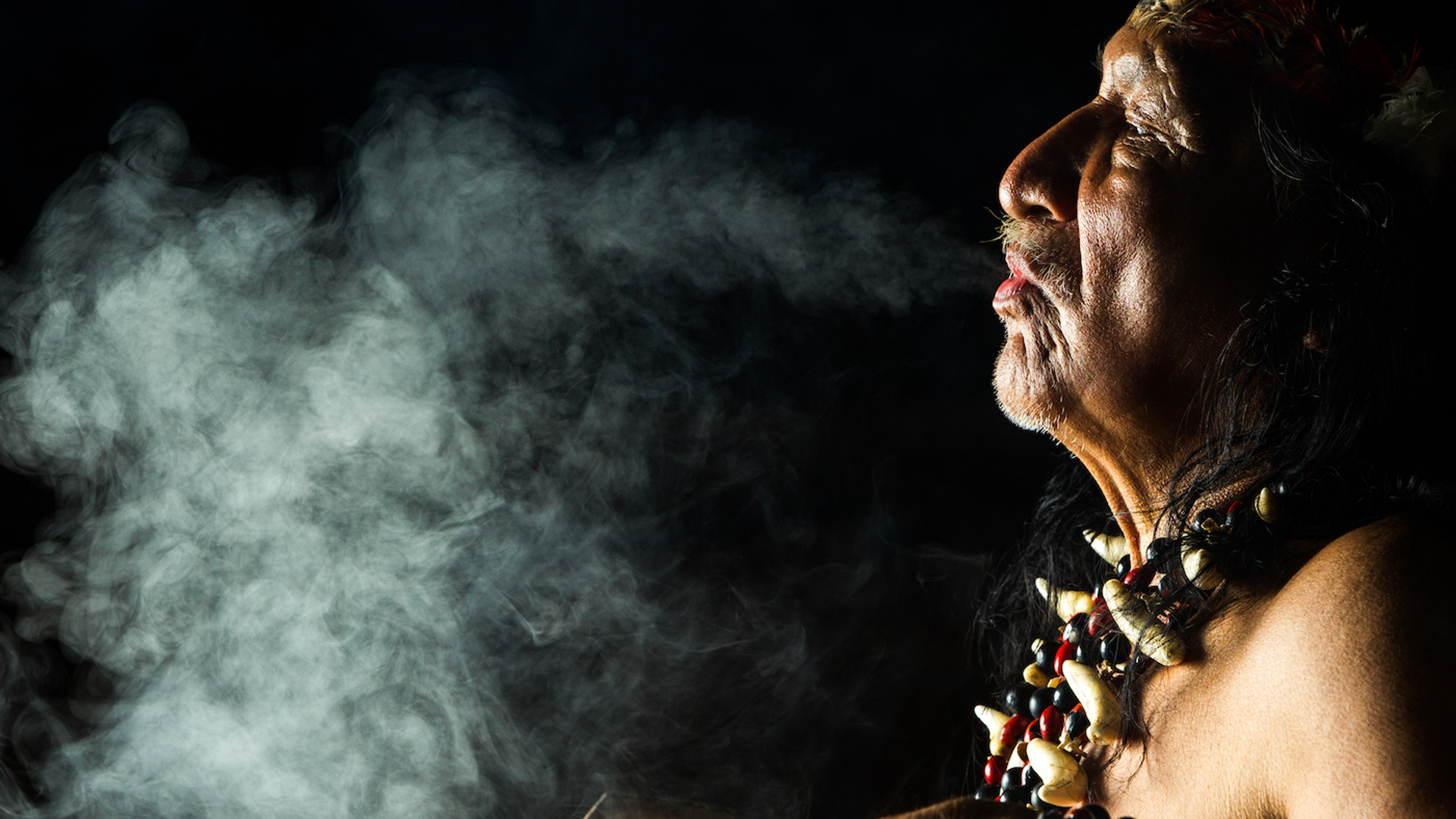 shutterstock_268016870-1695048258