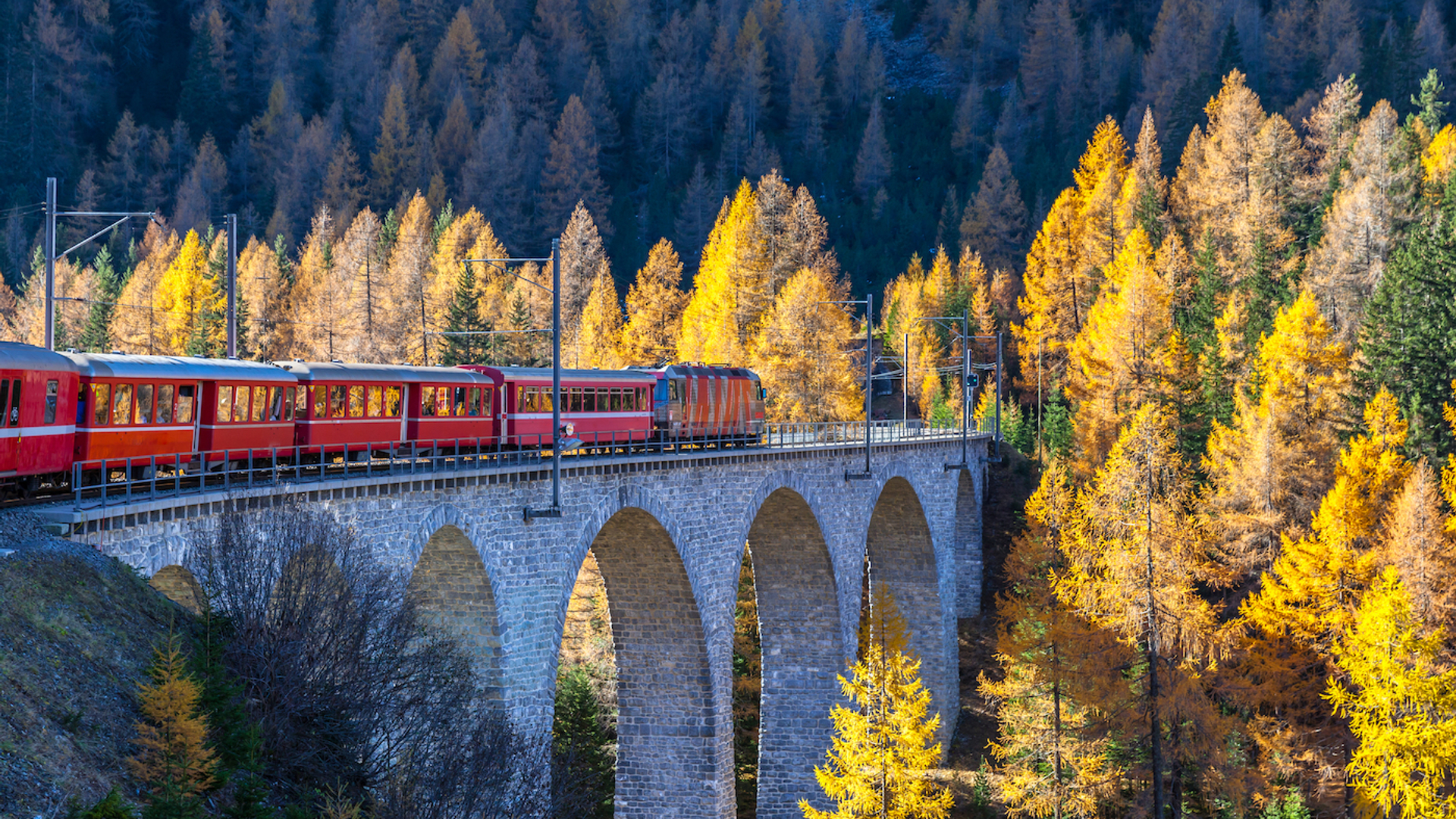 Peter_Stein-1664884731