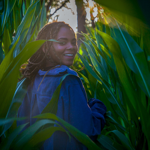 Wildkamperen: de belangrijkste tips voor je bivakkeertrips