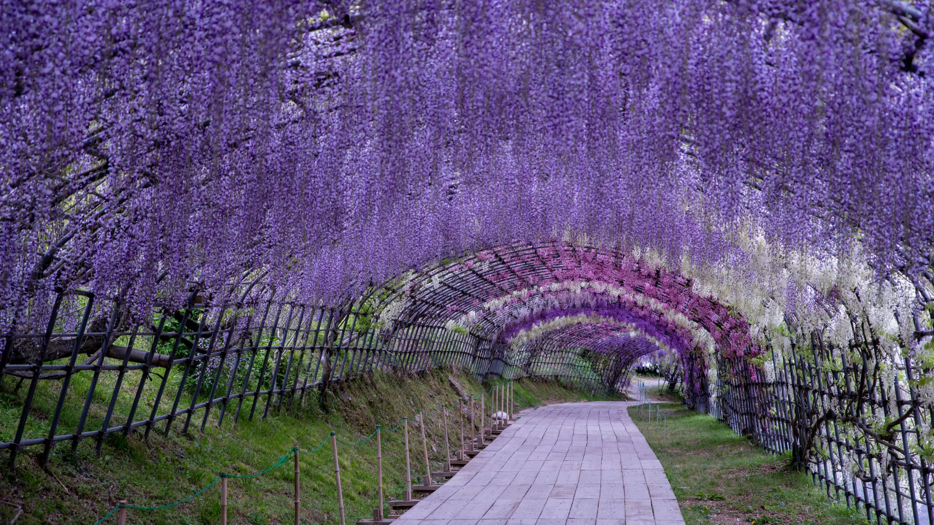 shutterstock_2009259959-1671910898