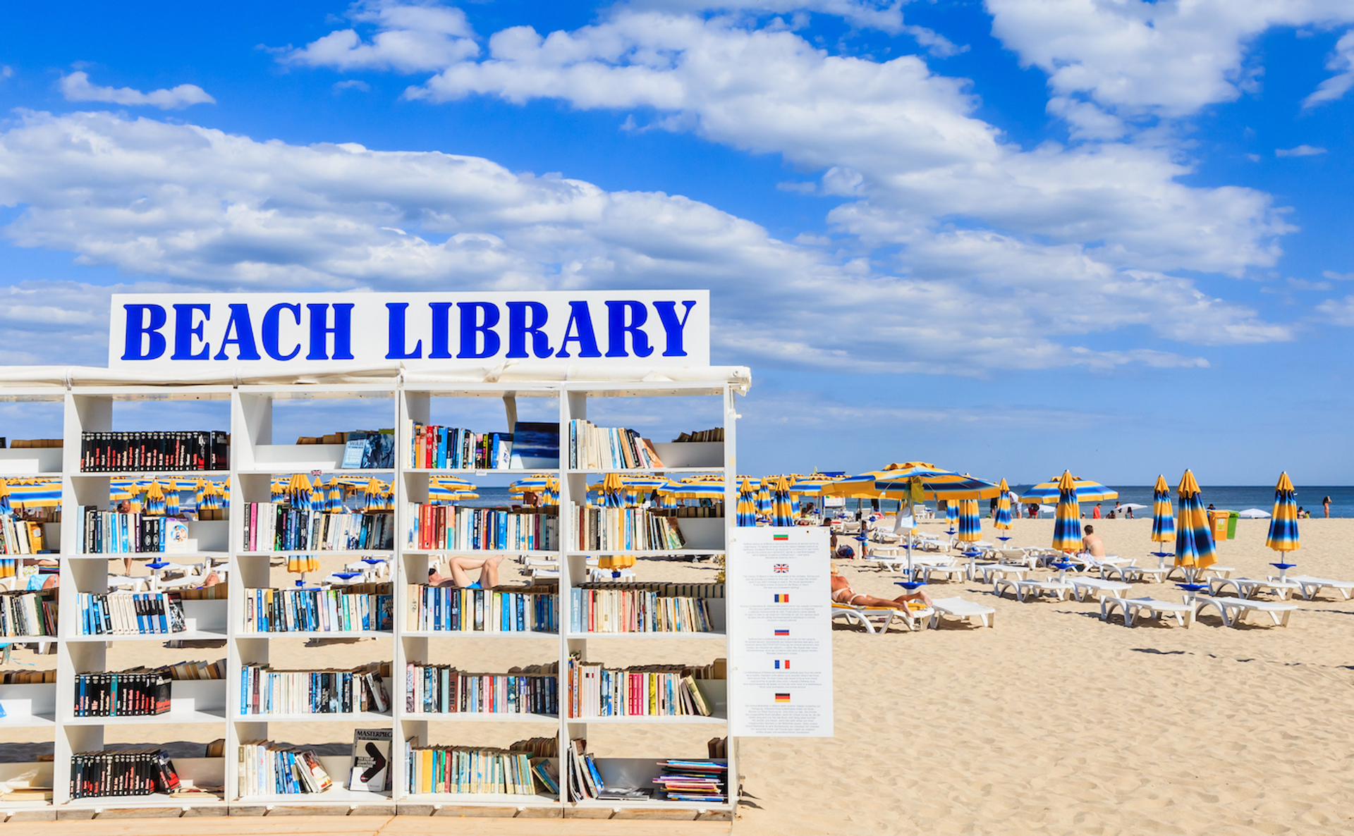 nikolpetr___Shutterstock.com-1704303953