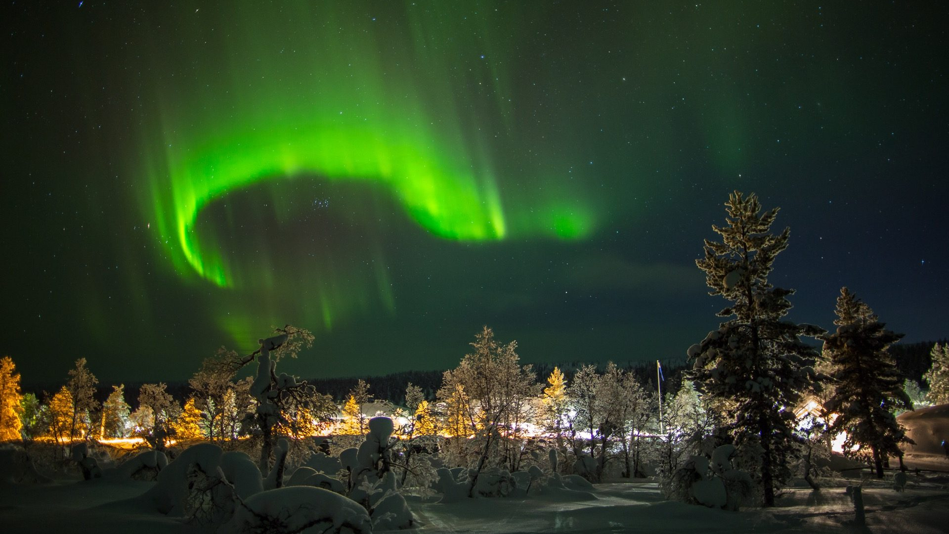 01463268-76a0-4908-a0c5-5ac73eb36652-1605102217