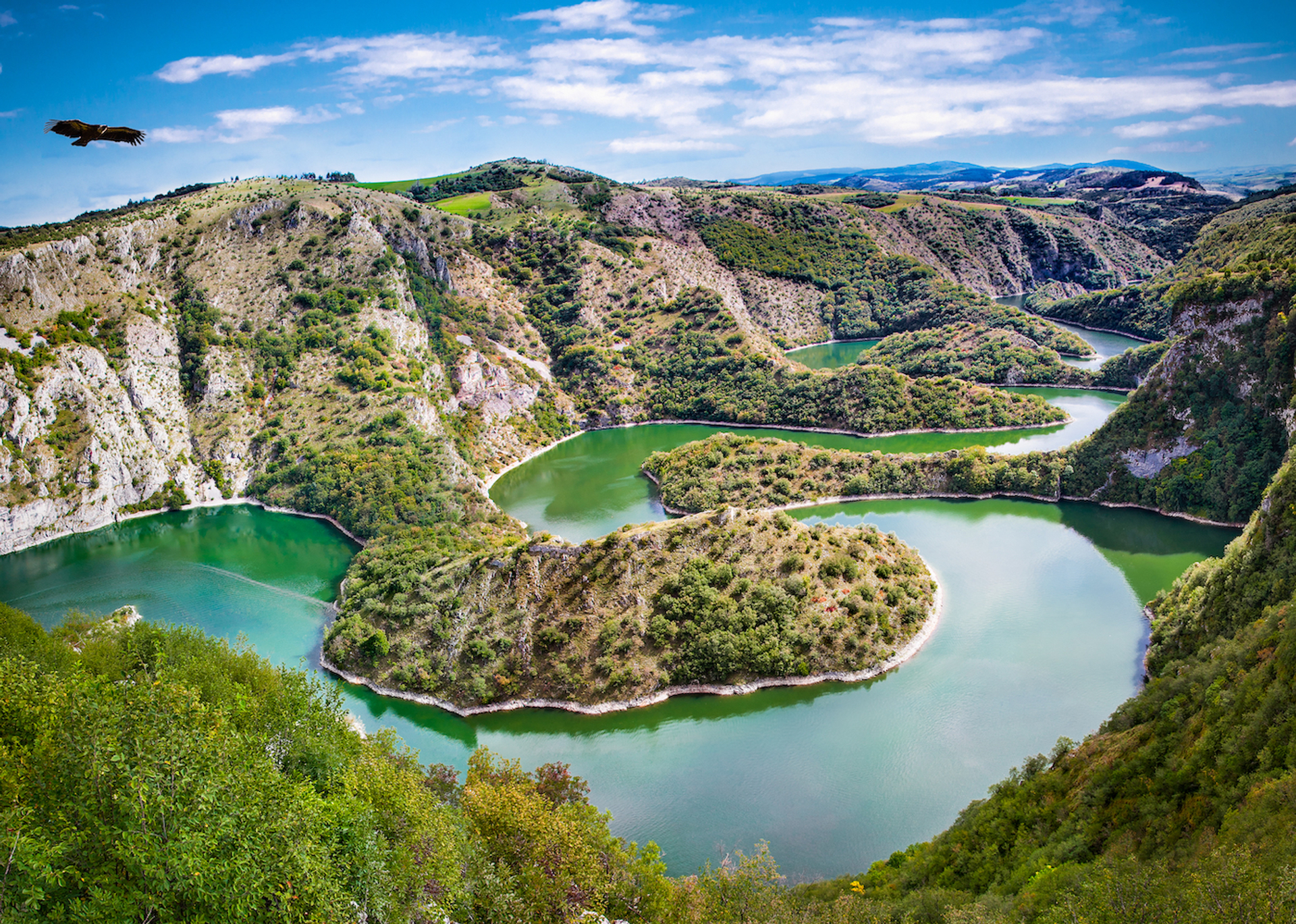 Aleksandar_Todorovic-1631805377