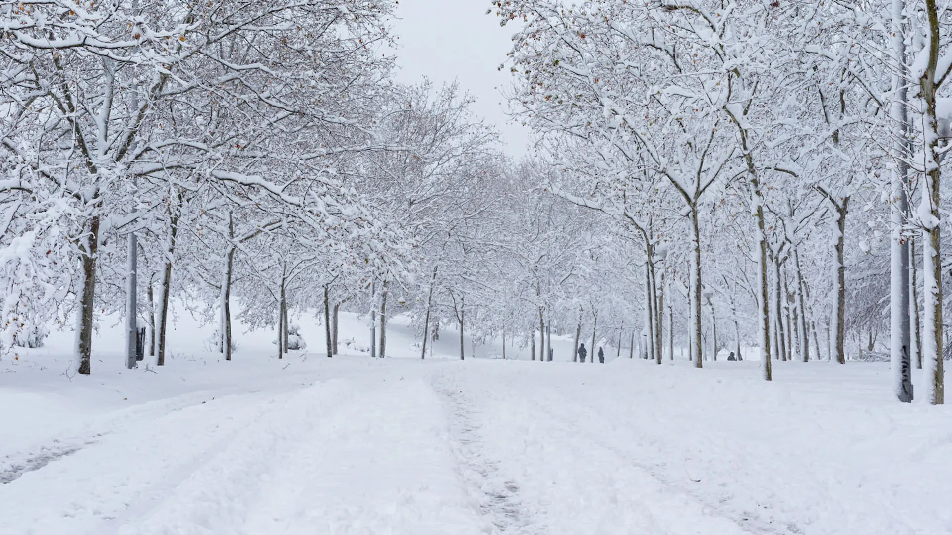 shutterstock_1890311233-1610535803