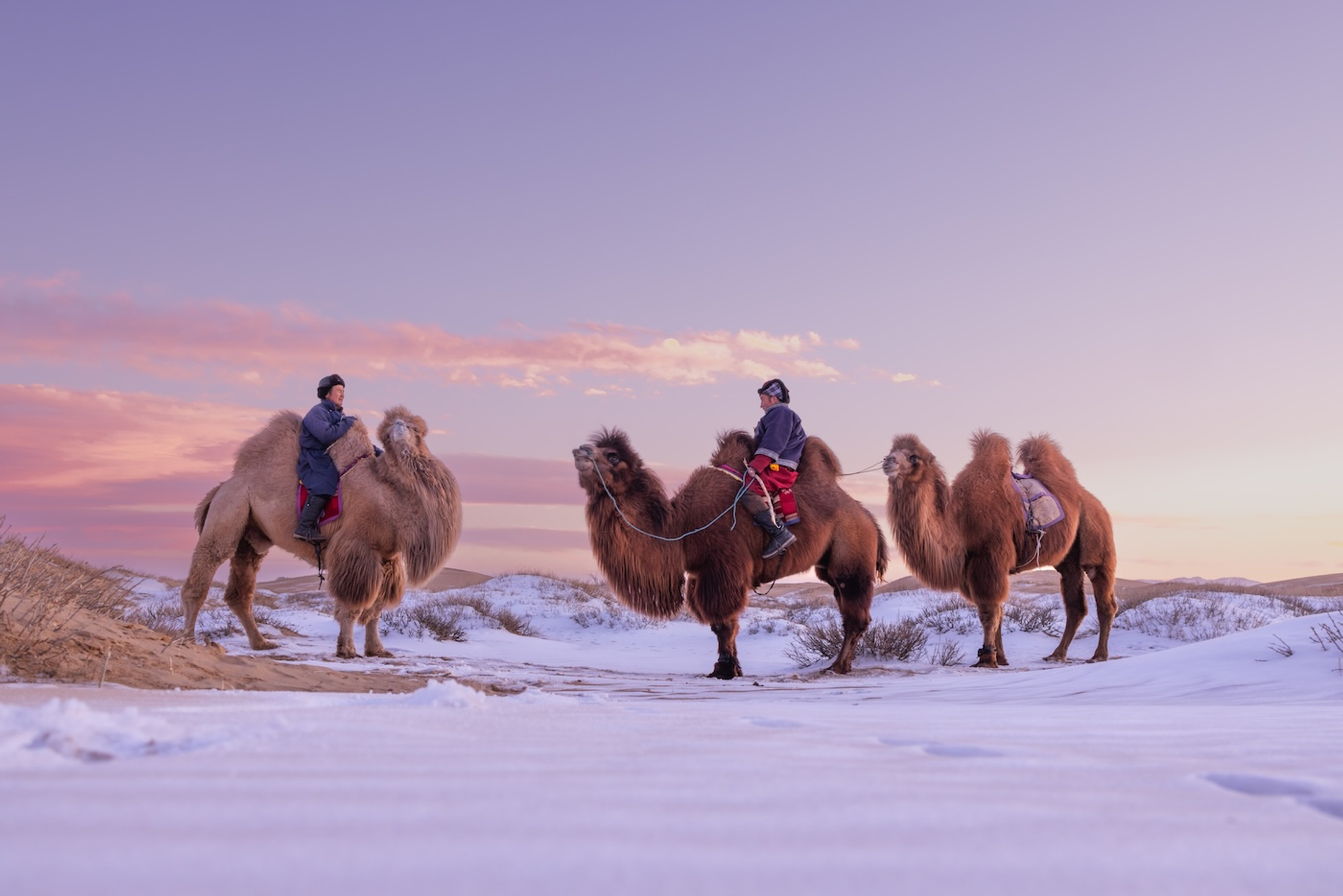 shutterstock_2266672753-1740666462