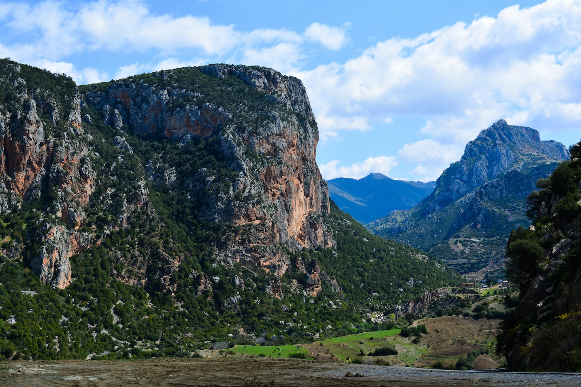 EvaL_Miko-1732984855