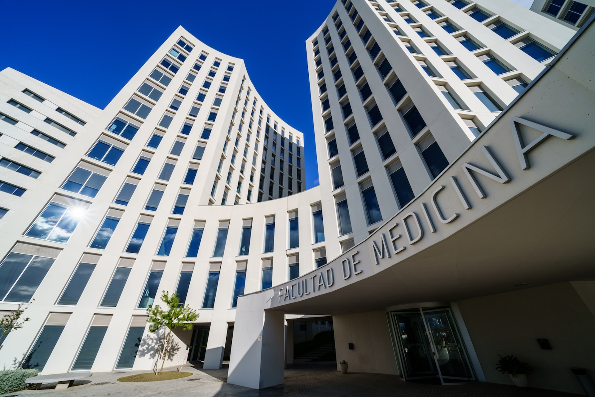 javi_indy-1743083355