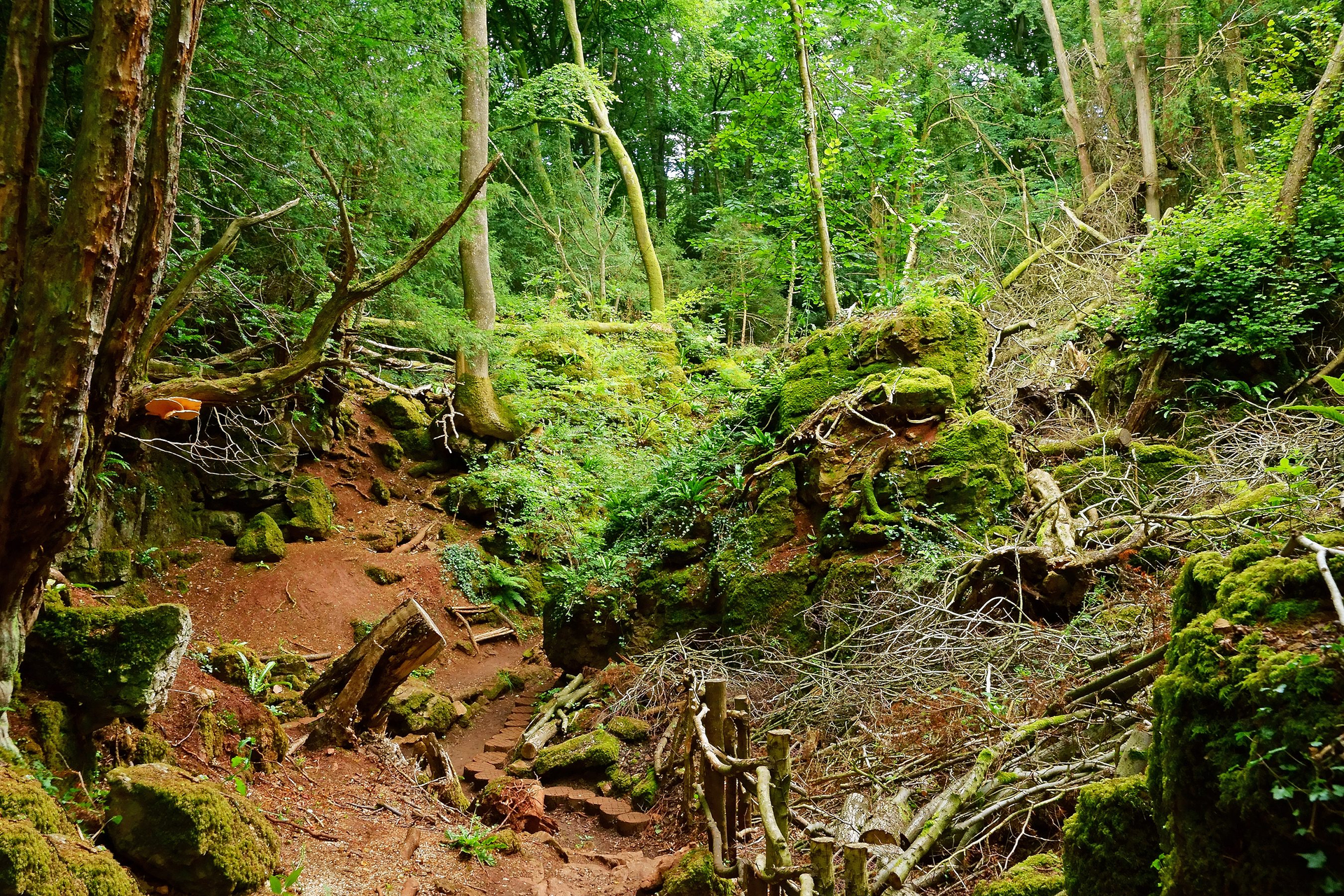 9f15f923-8d06-40b4-a26b-e0331a0ce8f7-1604945623-1629186547