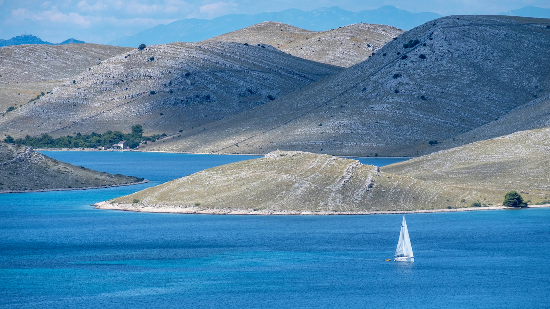 shutterstock_1126931618-1645791957