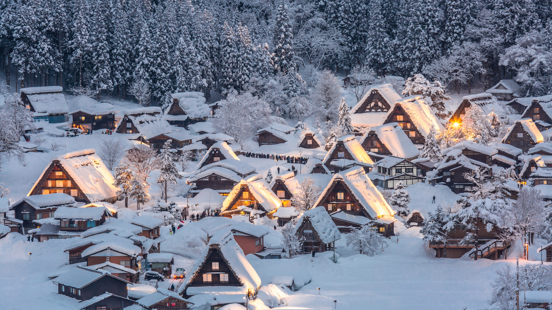 shutterstock_256865620-1667922726