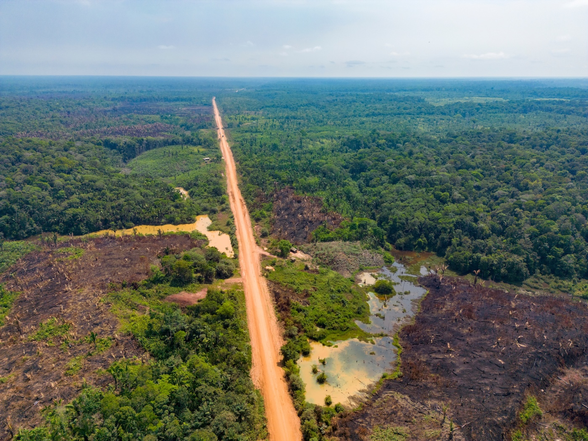 Freedom_wanted-1732782701