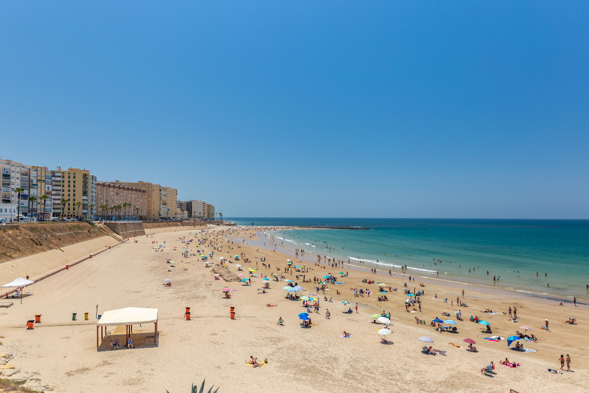 shutterstock_2026804616-1687446965