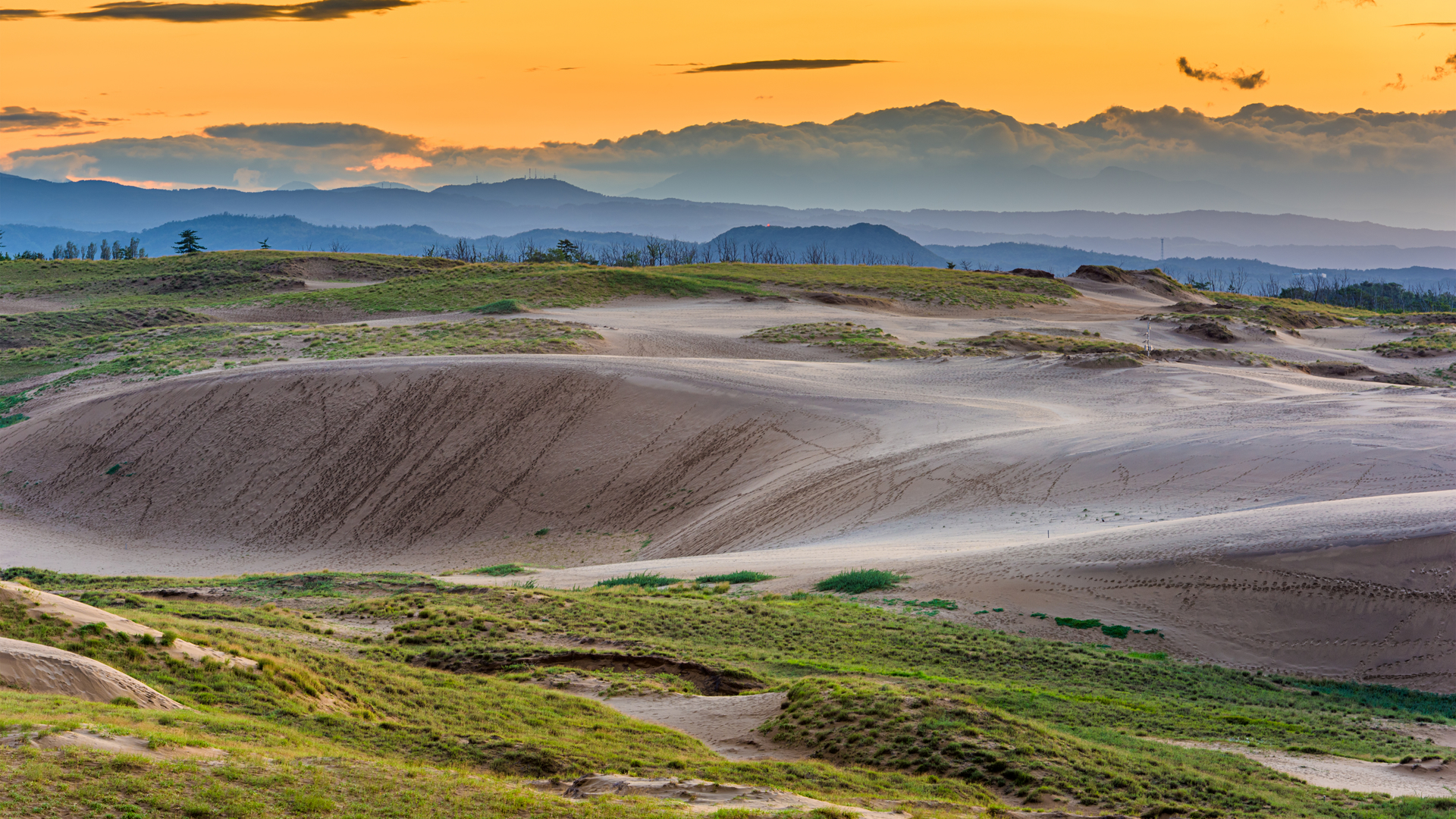 shutterstock_1720120177-1671705653