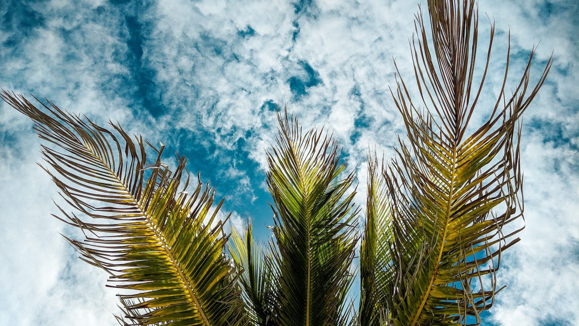 07248f9f-5b43-47b9-8eee-2df4807437fb-1605102681