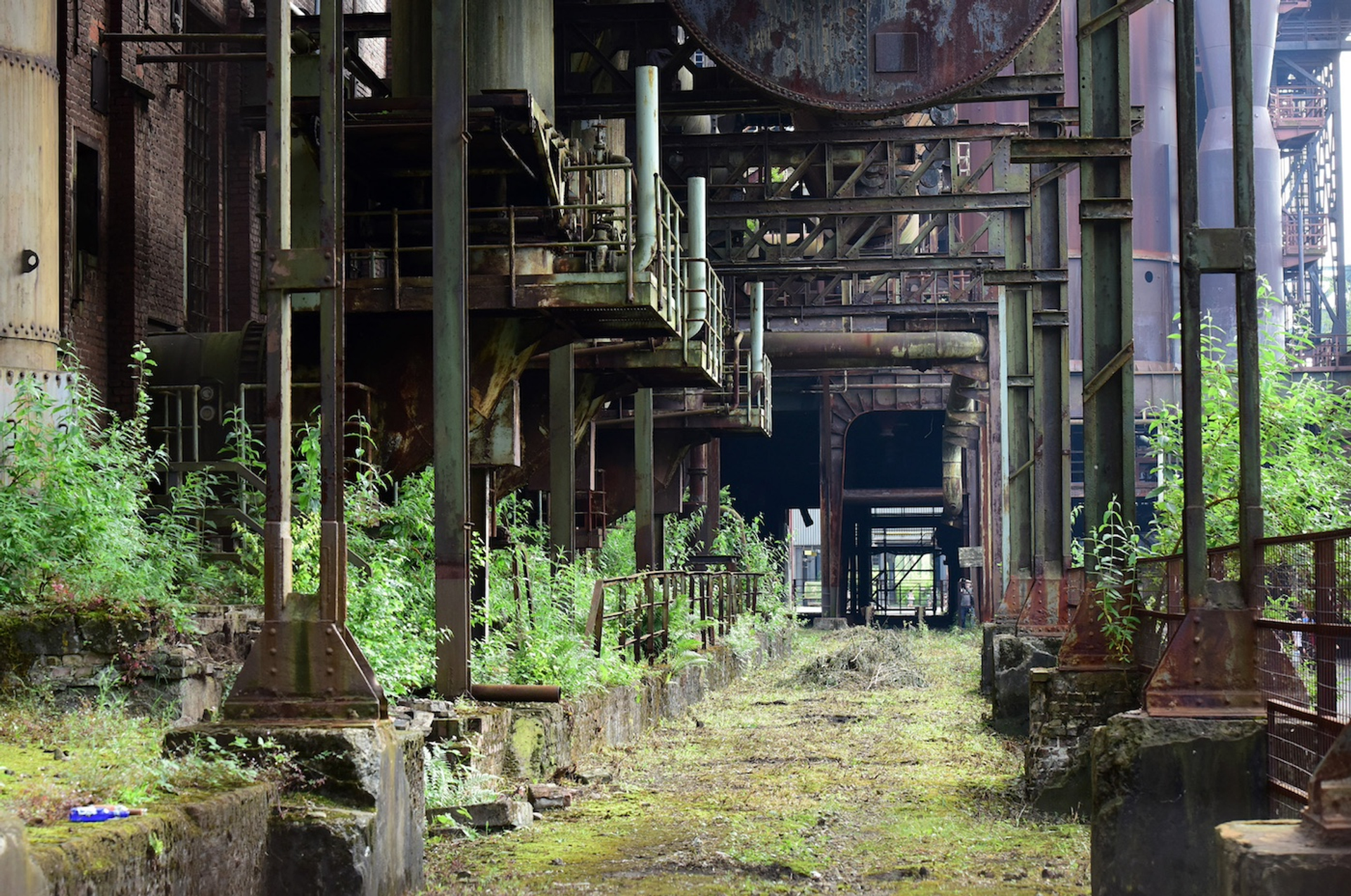 shutterstock_1949329117-1710948279