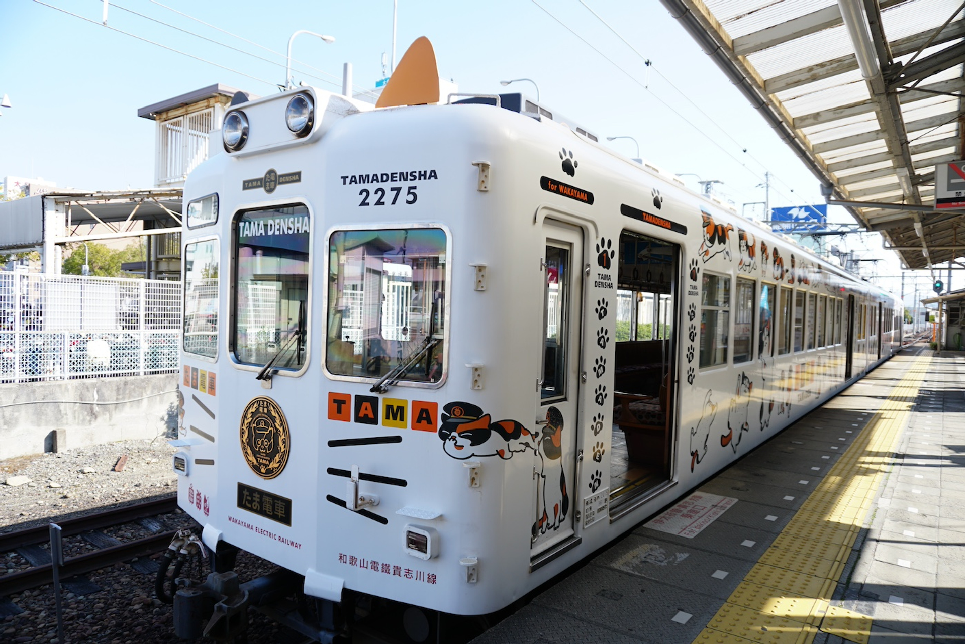 shutterstock_1463488421-1719822302